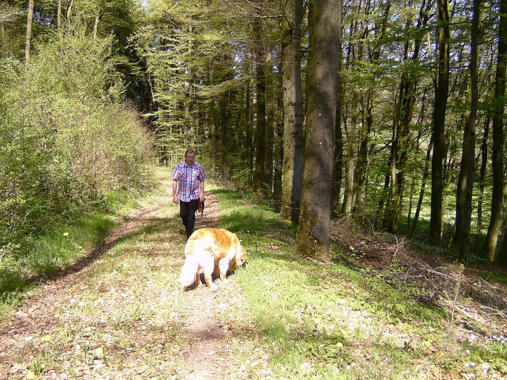 Landferien Eifel Lejlighed Pittenbach Eksteriør billede